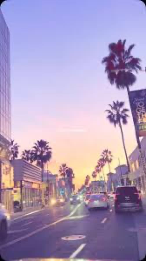 A palm-lined street at sunset